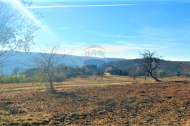 Istra,Grožnjan-Impozantno imanje za investiciju, Grožnjan, Land