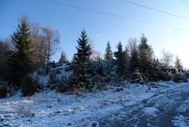 Velik i lijep teren-Stari Laz, Ravna Gora, Terreno