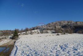 Velik i lijep teren-Stari Laz, Ravna Gora, Terreno