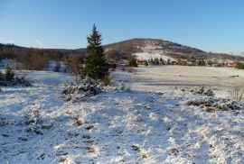 Velik i lijep teren-Stari Laz, Ravna Gora, Terreno