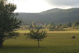 Stari Laz - autohtona kuća, Ravna Gora, Maison