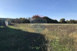 ISTRA, ŽMINJ - Industrijsko zemljište - komplet ili dio, Žminj, Land