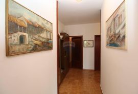 Samostojeća kuća s 2 uređena stana, potkrovljem, prizemljem i 2900m2 okućnice, Rijeka, Haus