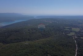 ISTRA, BARBAN - Veliko zemljište 5ha za investicijsko ulaganje, Barban, Terra