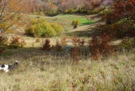 Stari Laz-poljoprivredni teren, Mrkopalj, Terrain