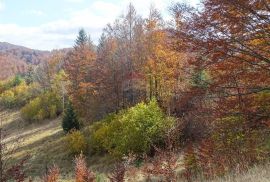 Stari Laz-poljoprivredni teren, Mrkopalj, Γη