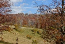 Stari Laz-poljoprivredni teren, Mrkopalj, Terrain