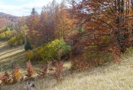 Stari Laz-poljoprivredni teren, Mrkopalj, Land