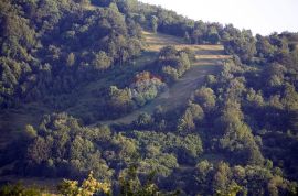 Šuma u Vratima, Fužine, Arazi