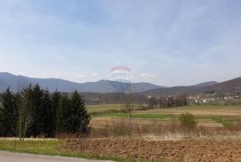 HRELJIN OGULINSKI - zemljište sa ruševnom kućom 4800m2, Ogulin, Land