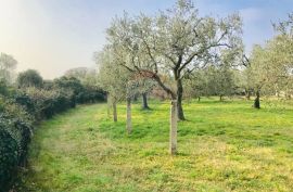 ISTRA, PEROJ, građevinsko, 1002m2 turističke namjene svega 250m od mora, Vodnjan, Zemljište