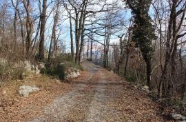 MATULJI - RUKAVAC - NEGRAĐEVINSKI TEREN 2349 m2 U BLIZINI NASELJA, Matulji, Terrain