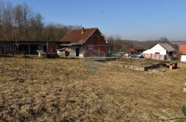 Garešnica - građevinsko zemljište, Garešnica, Land