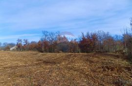 ISTRA, SVETVINČENAT - Građevisnki teren 1920m2 u lijepom selu, Svetvinčenat, أرض