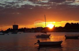 Istra, Umag apartmanska kuća sa bazenom, Umag, Kuća