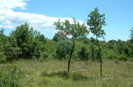 Kloštar, prilika! Građevinsko zemljište južne orijentacije, Sveti Lovreč, Terreno