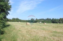 Istra, Štinjan, građevinsko zemljište nadomak kampa Puntižela, Pula, Land