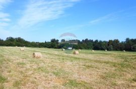 Istra, Štinjan, građevinsko zemljište nadomak kampa Puntižela, Pula, Land