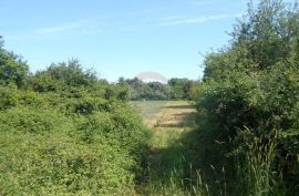 Istra, Štinjan, građevinsko zemljište nadomak kampa Puntižela, Pula, Land