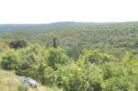 Istra, Krnica, šuma na prelijepoj poziciji sa pogledom na more, Marčana, Zemljište