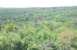 Istra, Krnica, šuma na prelijepoj poziciji sa pogledom na more, Marčana, Land