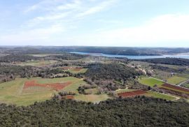 Vrsar, atraktivno građevinsko zemljište panoramskog pogleda prema moru, Vrsar, Terreno