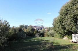 Vrsar, atraktivno građevinsko zemljište panoramskog pogleda prema moru, Vrsar, Terreno