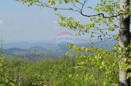 FUŽINE, BITORAJ - teren u srcu šume, Fužine, Land