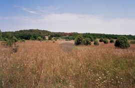 Istra,okolica Rovinja, zemljište 25117m2, Kanfanar, Land