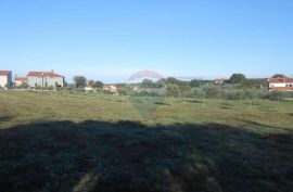 Istra, Vodnja, Galižana, velika parcela (5520 m2) na rubu urbanizacije, Vodnjan, Terreno