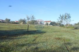 Istra, Vodnja, Galižana, velika parcela (5520 m2) na rubu urbanizacije, Vodnjan, Terreno