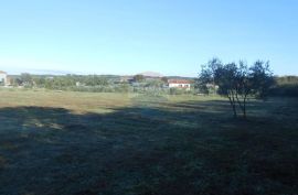 Istra, Vodnjan, Galižana, veliko zemljište sa maslinama na rubu urbanizacije, Vodnjan, Land