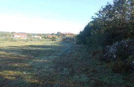 Istra, Vodnjan, Galižana, veliko zemljište sa maslinama na rubu urbanizacije, Vodnjan, Land