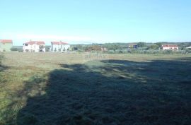 Istra, Vodnjan, Galižana, veliko zemljište sa maslinama na rubu urbanizacije, Vodnjan, Land