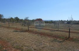 Istra,okolica Vodnjana i Marčane, građevinsko zemljište, 33 Eura po m2, Marčana, Land