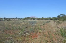 Istra,okolica Vodnjana i Marčane, građevinsko zemljište, 33 Eura po m2, Marčana, Land