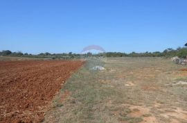 Istra,okolica Vodnjana i Marčane, građevinsko zemljište, 33 Eura po m2, Marčana, Land