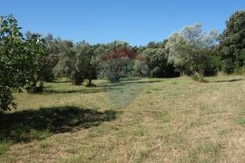 Fažana, Štinjan, građevinsko zemljište, Pula, Land