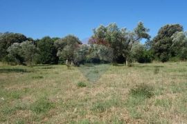 Fažana, Štinjan, građevinsko zemljište, Pula, Land