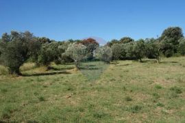 Fažana, Štinjan, građevinsko zemljište, Pula, Land