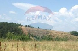 Grimalda, poljoprivredno zemljište 22 800m2, Cerovlje, Γη