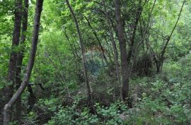 Poljoprivredno zemljište, Mošćenička Draga, Land