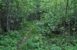 Poljoprivredno zemljište, Mošćenička Draga, Terreno