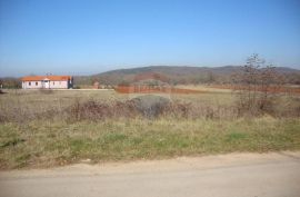 ISTRA, ROVINJSKO SELO, građevinsko zemljište do asfalta, Rovinj, Terrain