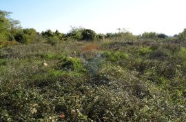 PULA, OKOLICA, GRAĐEVINSKO ZEMLJIŠTE U INDUSTRIJSKOJ ZONI, Pula, Terreno