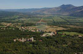 KUĆA SA VELIKIM IMANJEM U ISTRI, Pićan, Casa