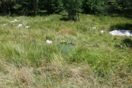 POLJOPRIVREDNO ZEMLJIŠTE UDALJENO OD ŽEJANA 300 M IDEALNO ZA VIKENDICU, Matulji, Terrain