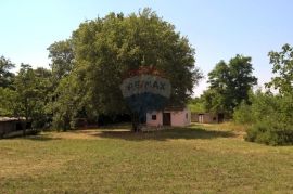 Baderna, Imanje, 30 500m2, Poreč, House