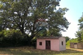 Baderna, Imanje, 30 500m2, Poreč, House