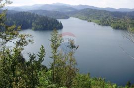 Šuma uz jezero-mogućnost zamjene, Lokve, Tierra